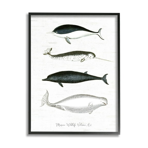 Stupell Industries Nautical Sea Life Whales Narwhal Marine Drawings Graphic Art Black Framed Art Print Wall Art, Design by Lettered and Lined