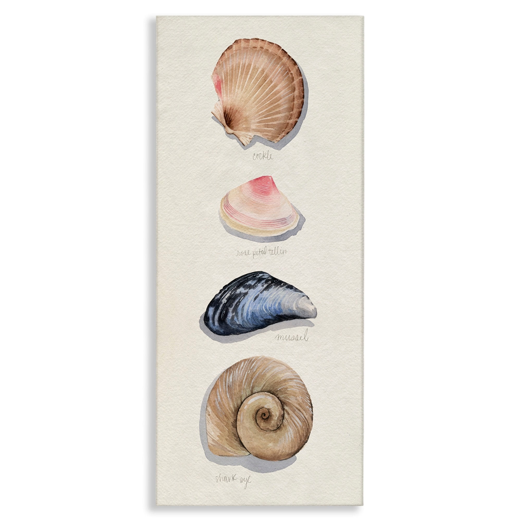 Stupell Industries Nautical Sea Shells over Soft Beige Sand,13 x 30,Designed by Grace Popp