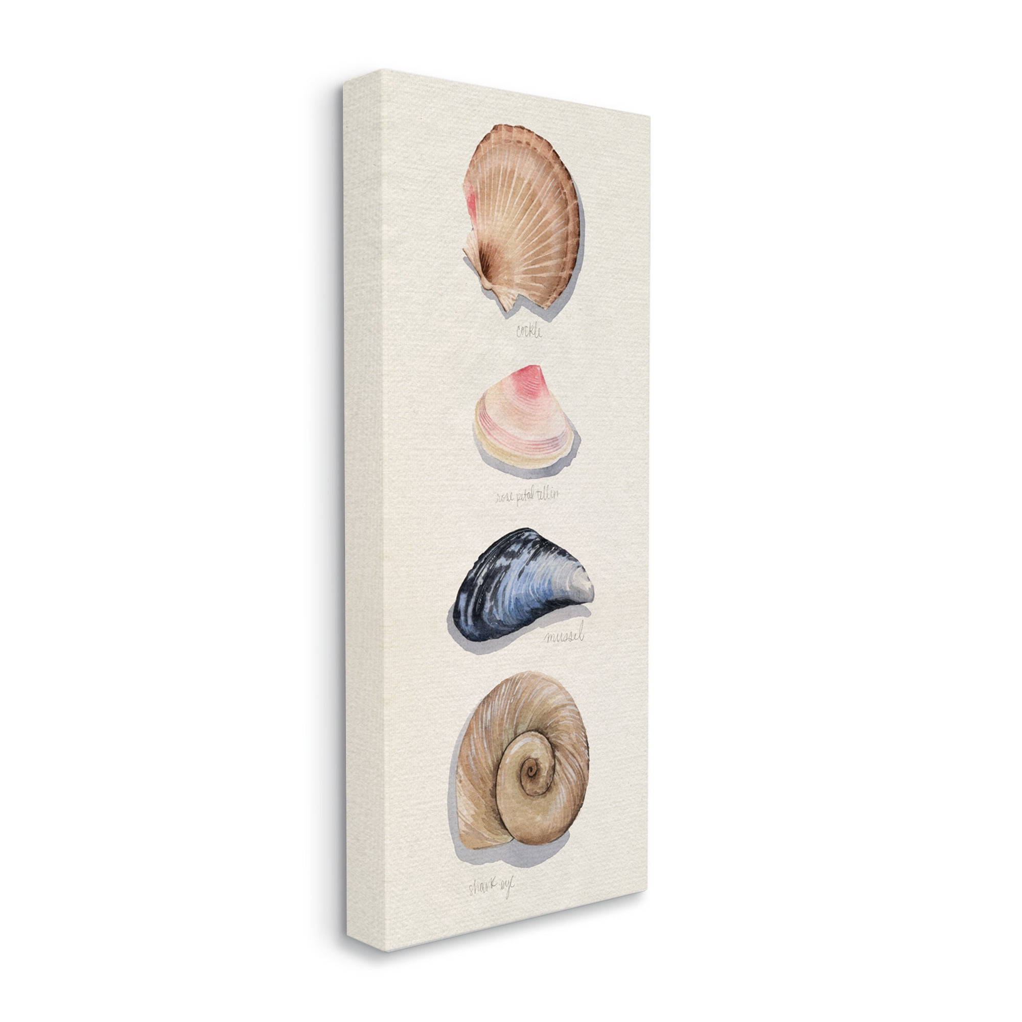 Stupell Industries Nautical Sea Shells over Soft Beige Sand,20 x 48,Designed by Grace Popp