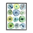 thumbnail image 1 of Stupell Industries Nautical Sea Urchin Abstract Assortment Blue Green Yellow Nature Painting Black Framed Art Print Wall Art, 11 x 14, 1 of 7