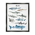 thumbnail image 1 of Stupell Industries Nautical Shark Chart Watercolor Marine Animals Jet Black Framed Floating Canvas Wall Art, 16x20, by Ziwei Li, 1 of 5