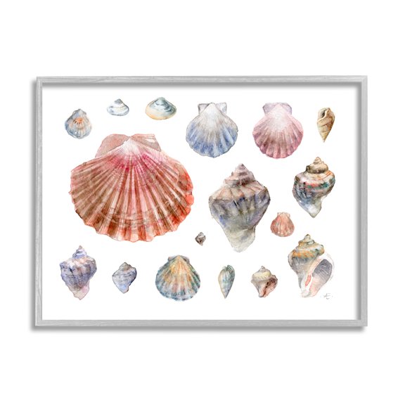 Stupell Industries Nautical Shell Watercolor Study Patterned Aquatic Life Nature Painting Gray Framed Art Print Wall Art, 11 x 14