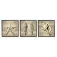 thumbnail image 1 of Stupell Industries Nautical Shells Beach Starfish Gold Brown Black Framed by Caroline Kelly, 1 of 5