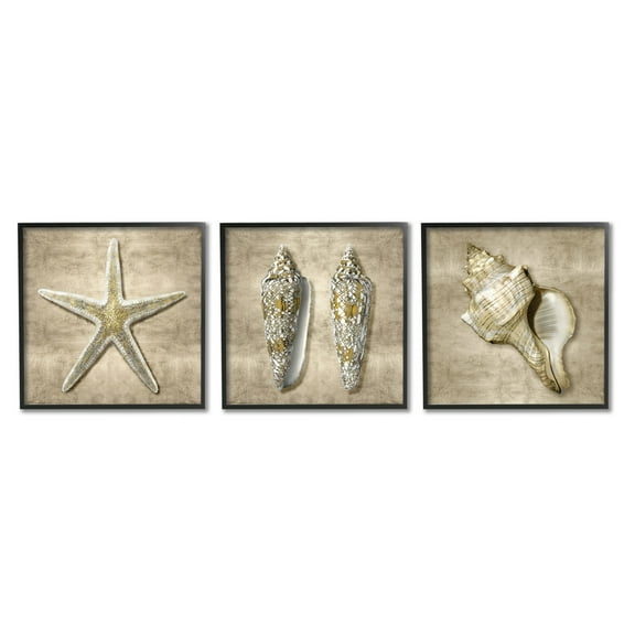 Stupell Industries Nautical Shells Beach Starfish Gold Brown Black Framed by Caroline Kelly