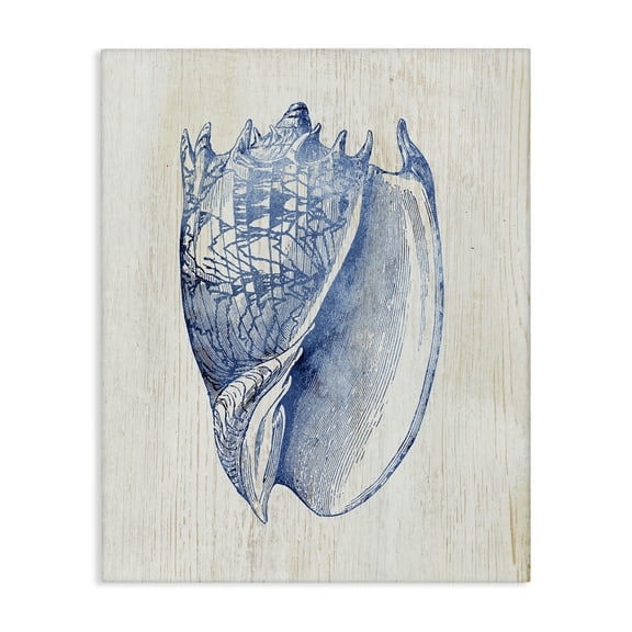 Stupell Industries Nautical Soft Blue Conch Animals Painting Wrapped Canvas Canvas Art Print Wall Art, 24 x 30