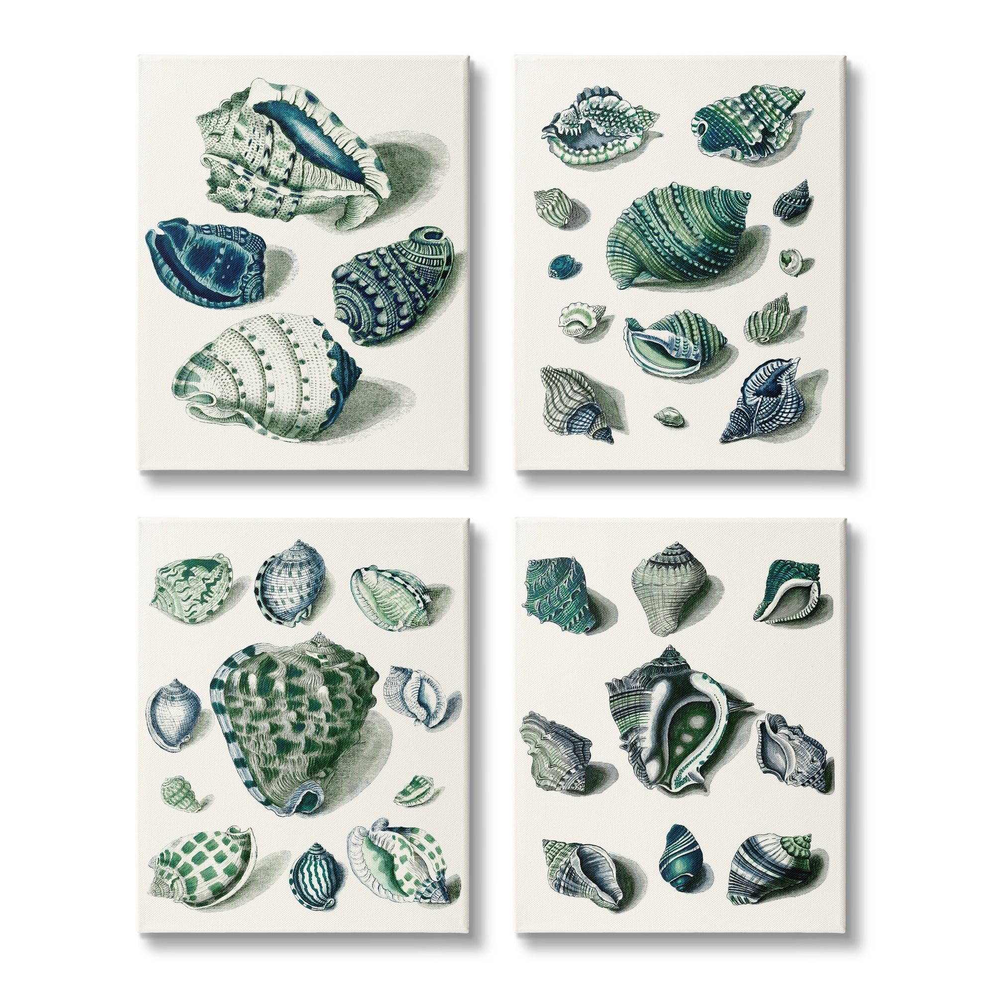 Stupell Industries Nautical Spiral Conch Shell Collage Blue Green Canvas Wall Art by Vision Studio