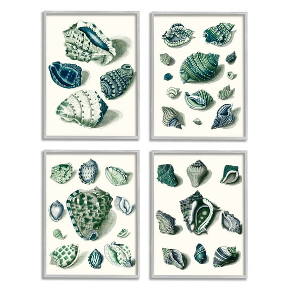 Stupell Industries Nautical Spiral Conch Shell Collage Blue Green Gray Framed by Vision Studio