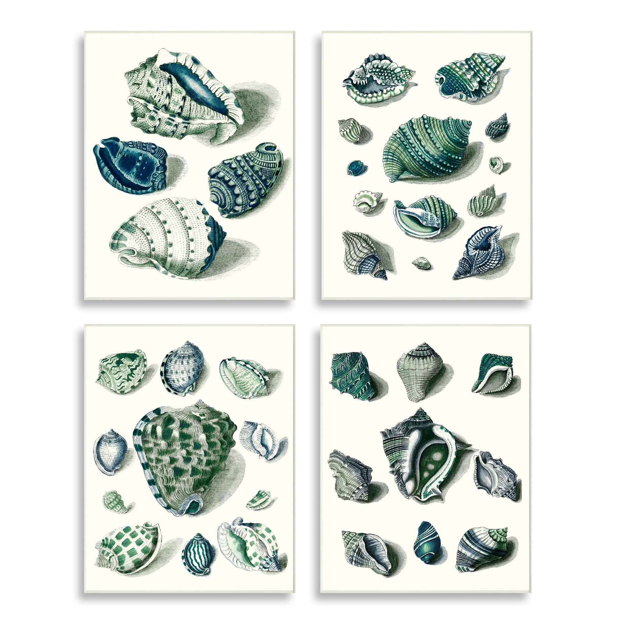 Stupell Industries Nautical Spiral Conch Shell Collage Blue Green Wall Plaque by Vision Studio