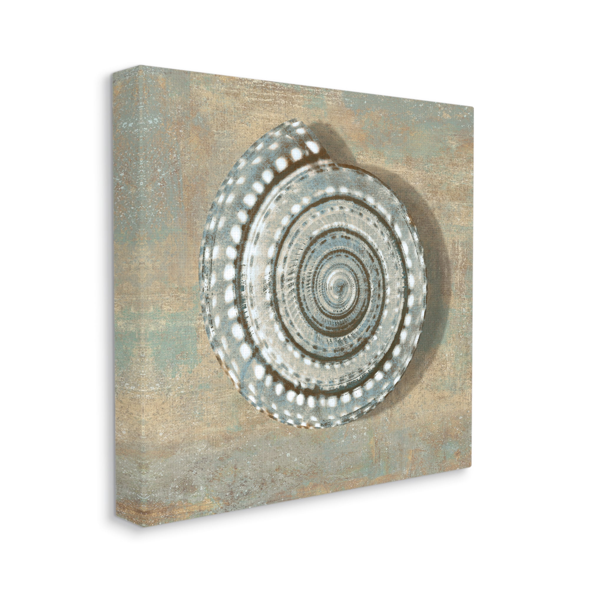 Stupell Industries Nautical Spiral Shell Vintage Coastal Muted Neutral Nature Painting Gallery Wrapped Canvas Art Print Wall Art, 24 x 24