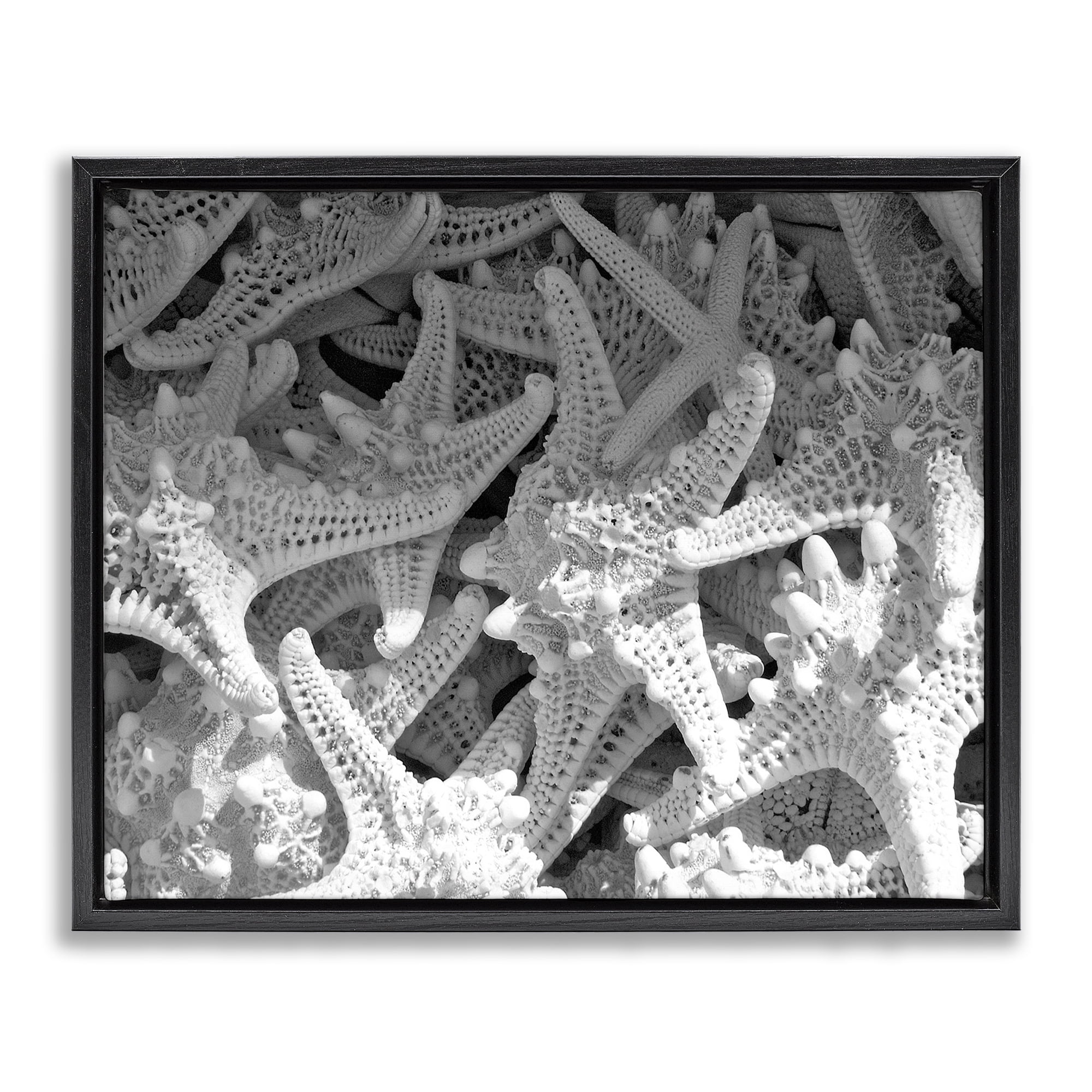 Stupell Industries Nautical Starfish Pile Coastal Photography Black Floater Framed Canvas Art Print Wall Art, 21 x 17