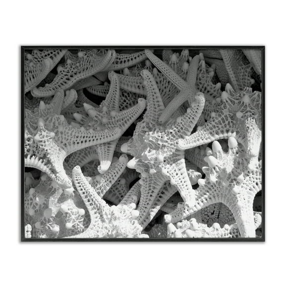 Stupell Industries Nautical Starfish Pile Coastal Photography Black Framed Art Print Wall Art, 14 x 11