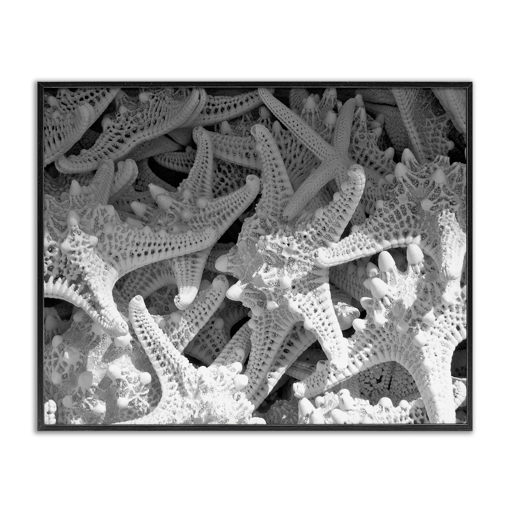Stupell Industries Nautical Starfish Pile Coastal Photography Black Framed Art Print Wall Art, 20 x 16
