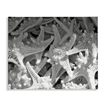 Stupell Industries Nautical Starfish Pile Coastal Photography Gallery Wrapped Canvas Art Print Wall Art, 20 x 16