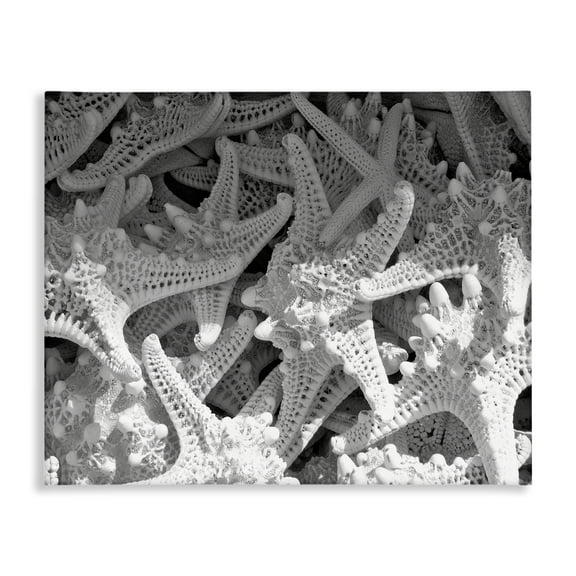 Stupell Industries Nautical Starfish Pile Coastal Photography Gallery Wrapped Canvas Art Print Wall Art, 20 x 16