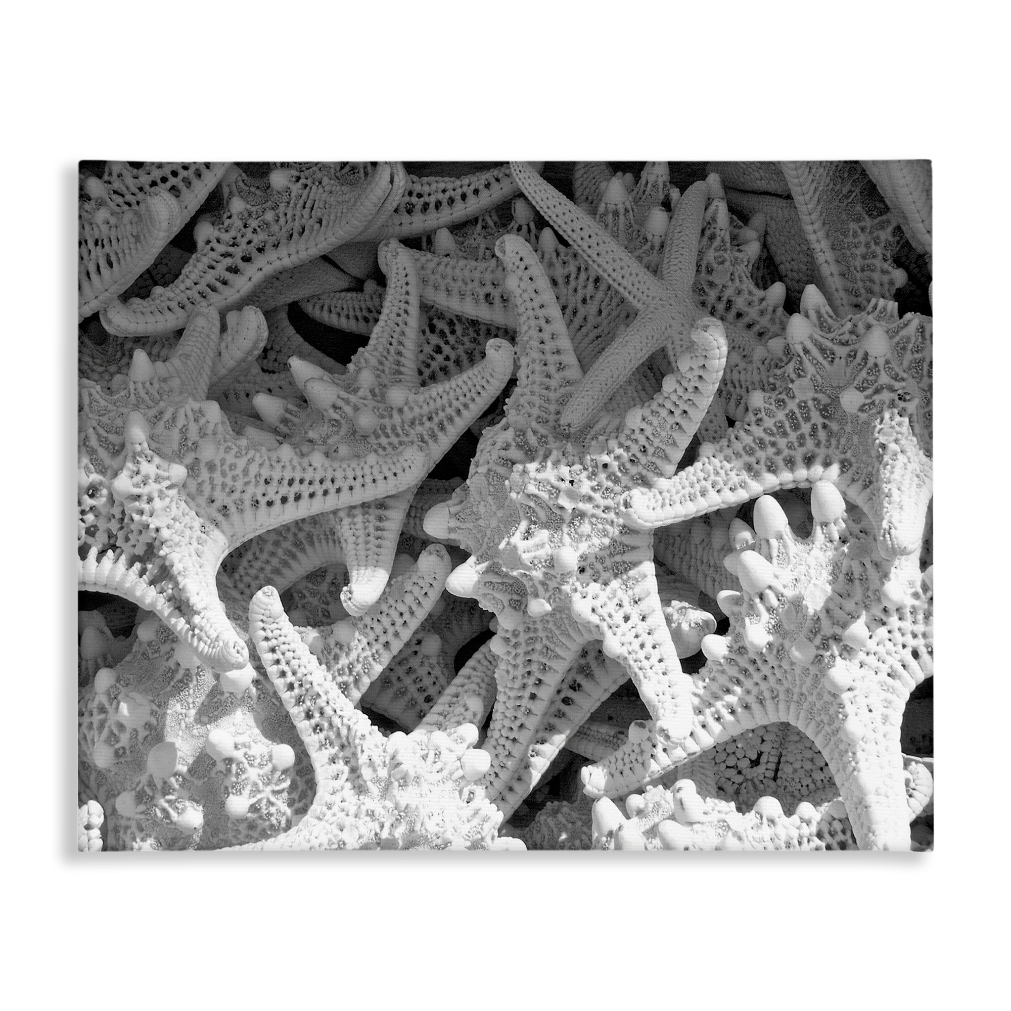 Stupell Industries Nautical Starfish Pile Coastal Photography Gallery Wrapped Canvas Art Print Wall Art, 48 x 36