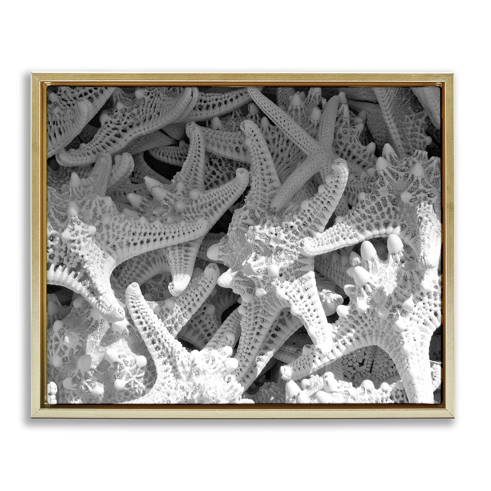Stupell Industries Nautical Starfish Pile Coastal Photography Gold Floater Framed Canvas Art Print Wall Art, 31 x 25