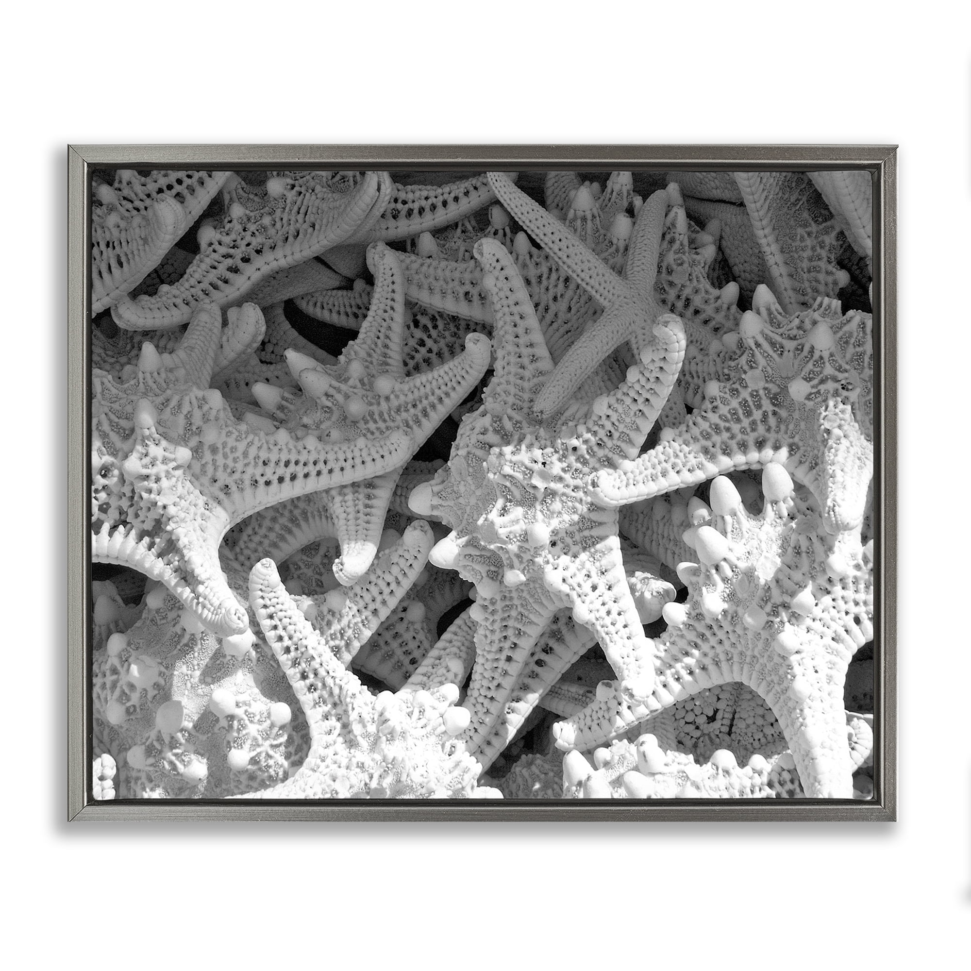 Stupell Industries Nautical Starfish Pile Coastal Photography Gray Floater Framed Canvas Art Print Wall Art, 31 x 25