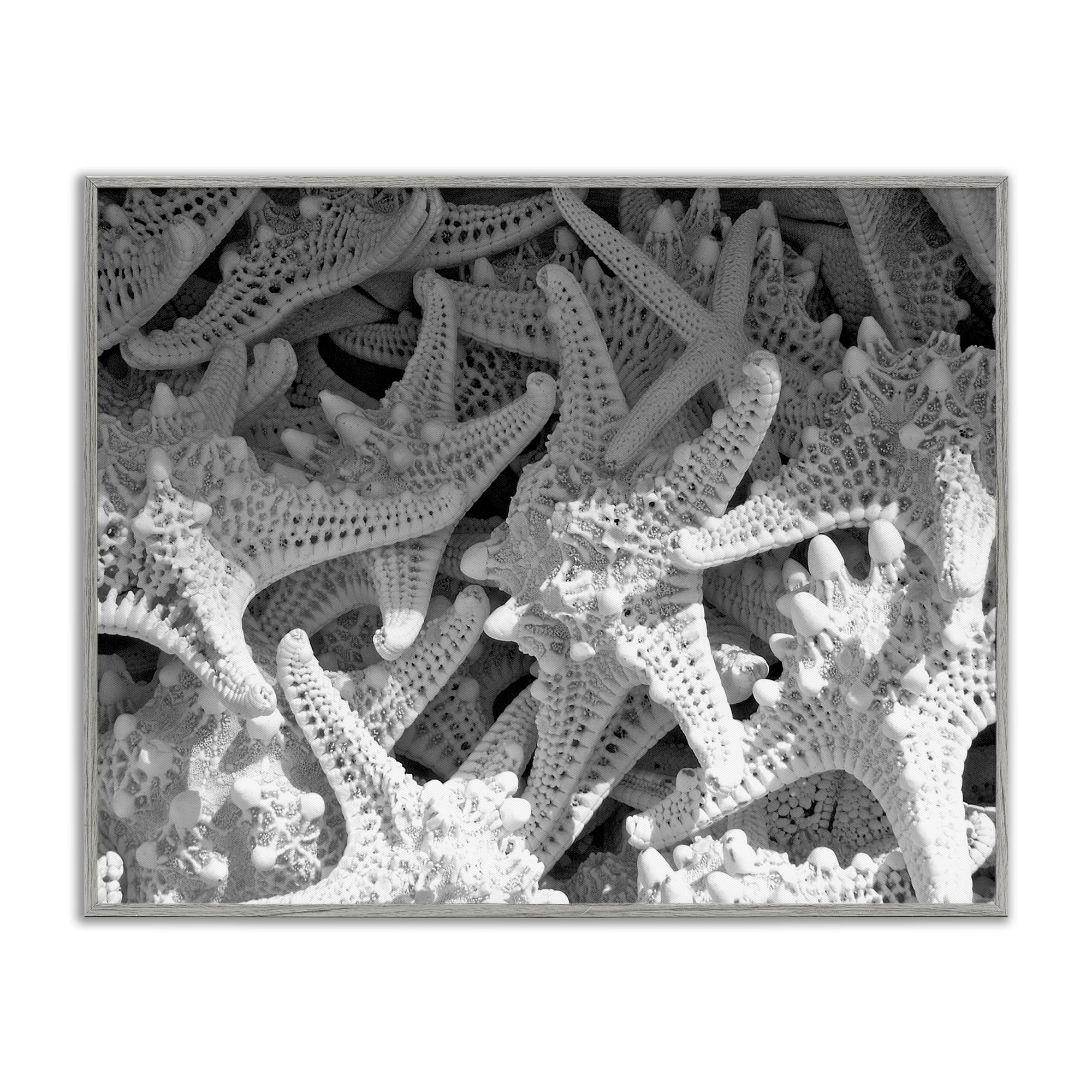 Stupell Industries Nautical Starfish Pile Coastal Photography Gray Framed Art Print Wall Art, 20 x 16
