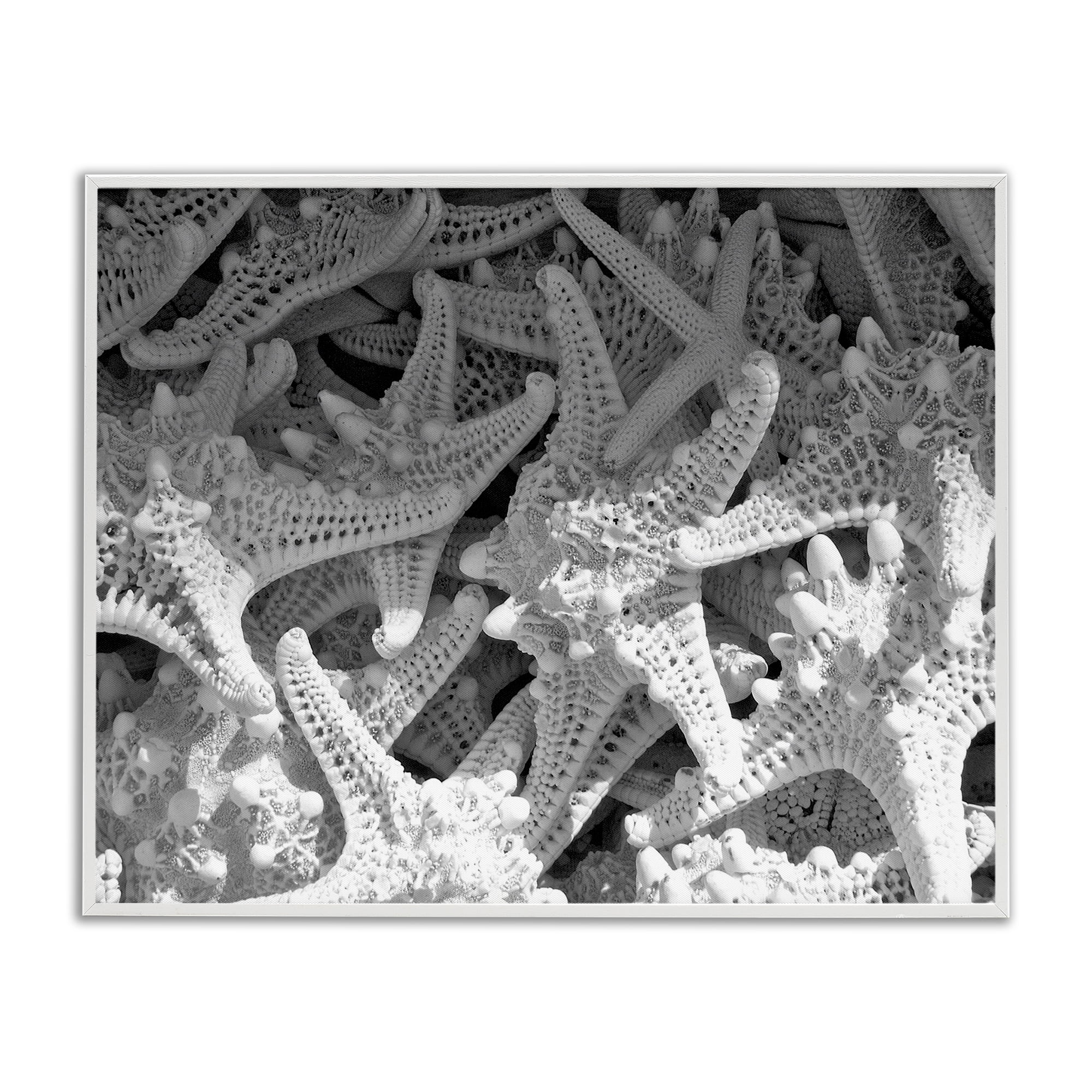 Stupell Industries Nautical Starfish Pile Coastal Photography White Framed Art Print Wall Art, 20 x 16