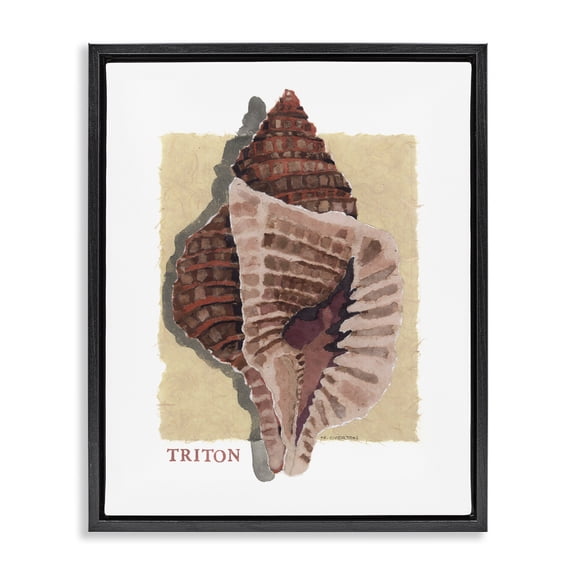 Stupell Industries Nautical Triton Shell Black Framed Floater Canvas Wall Art design by Nancy Overton, 31 x 25