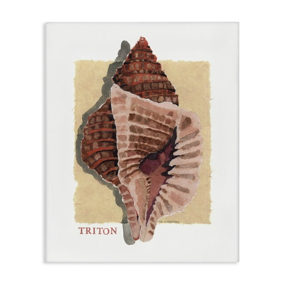Stupell Industries Nautical Triton Shell Canvas Wall Art design by Nancy Overton, 48 x 36