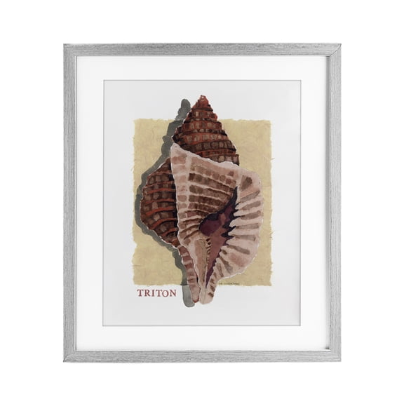 Stupell Industries Nautical Triton Shell Gray Framed Print Under Glass design by Nancy Overton, 21 x 17