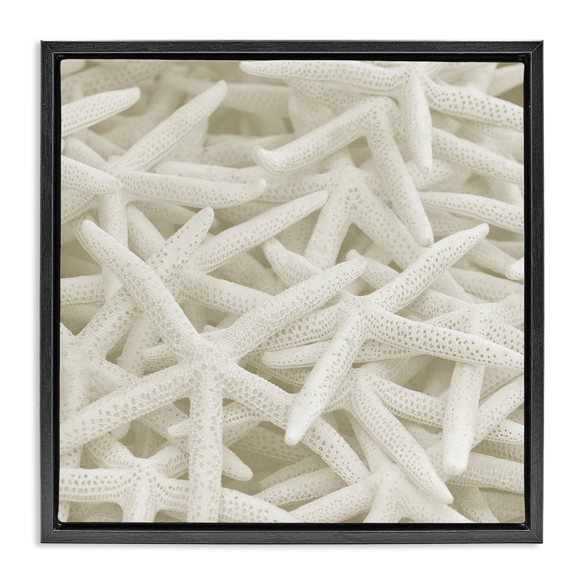 Stupell Industries Nautical White Starfish Photography Nature Photography Black Floater Framed Canvas Art Print Wall Art, 18 x 18