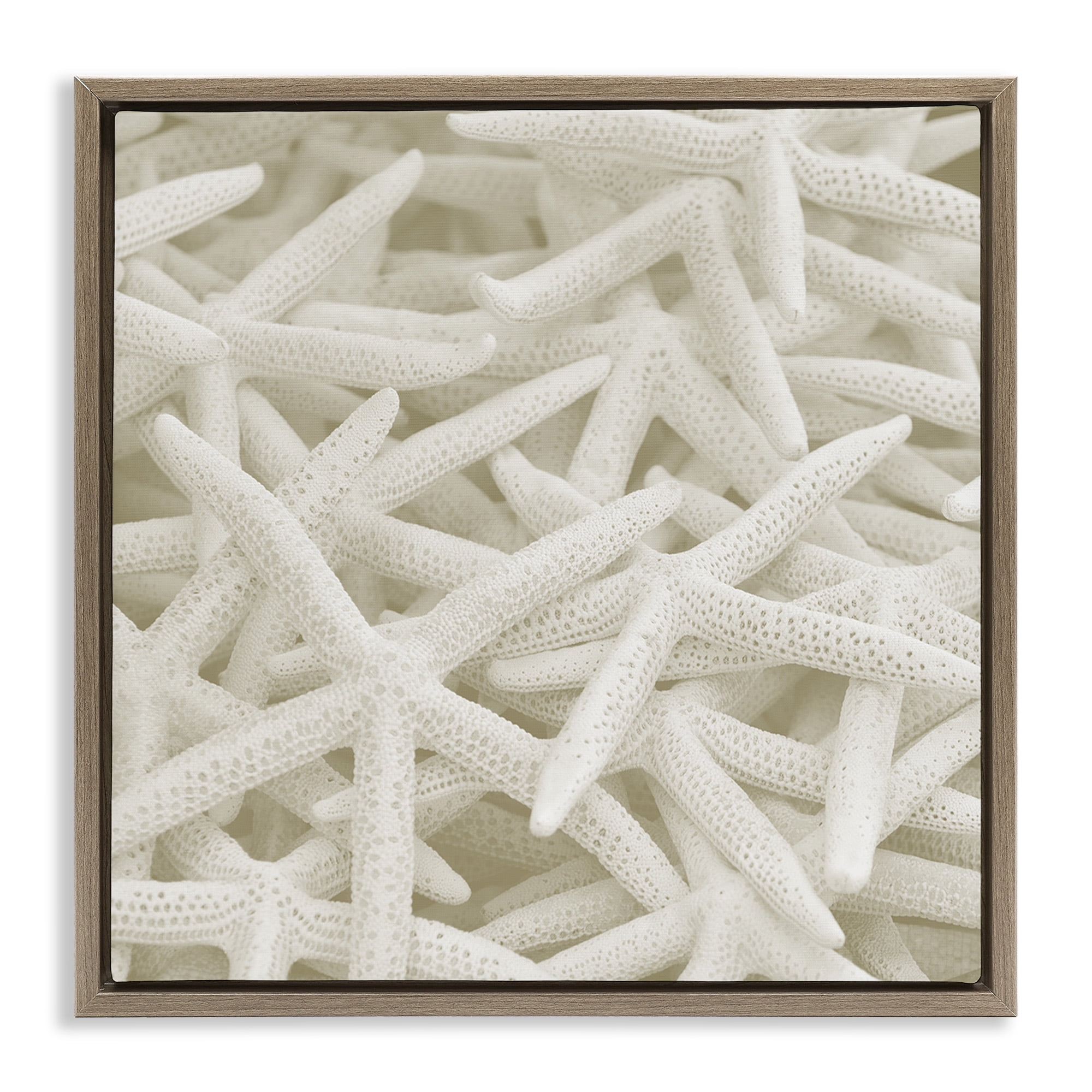 Stupell Industries Nautical White Starfish Photography Nature Photography Brown Floater Framed Canvas Art Print Wall Art, 25 x 25