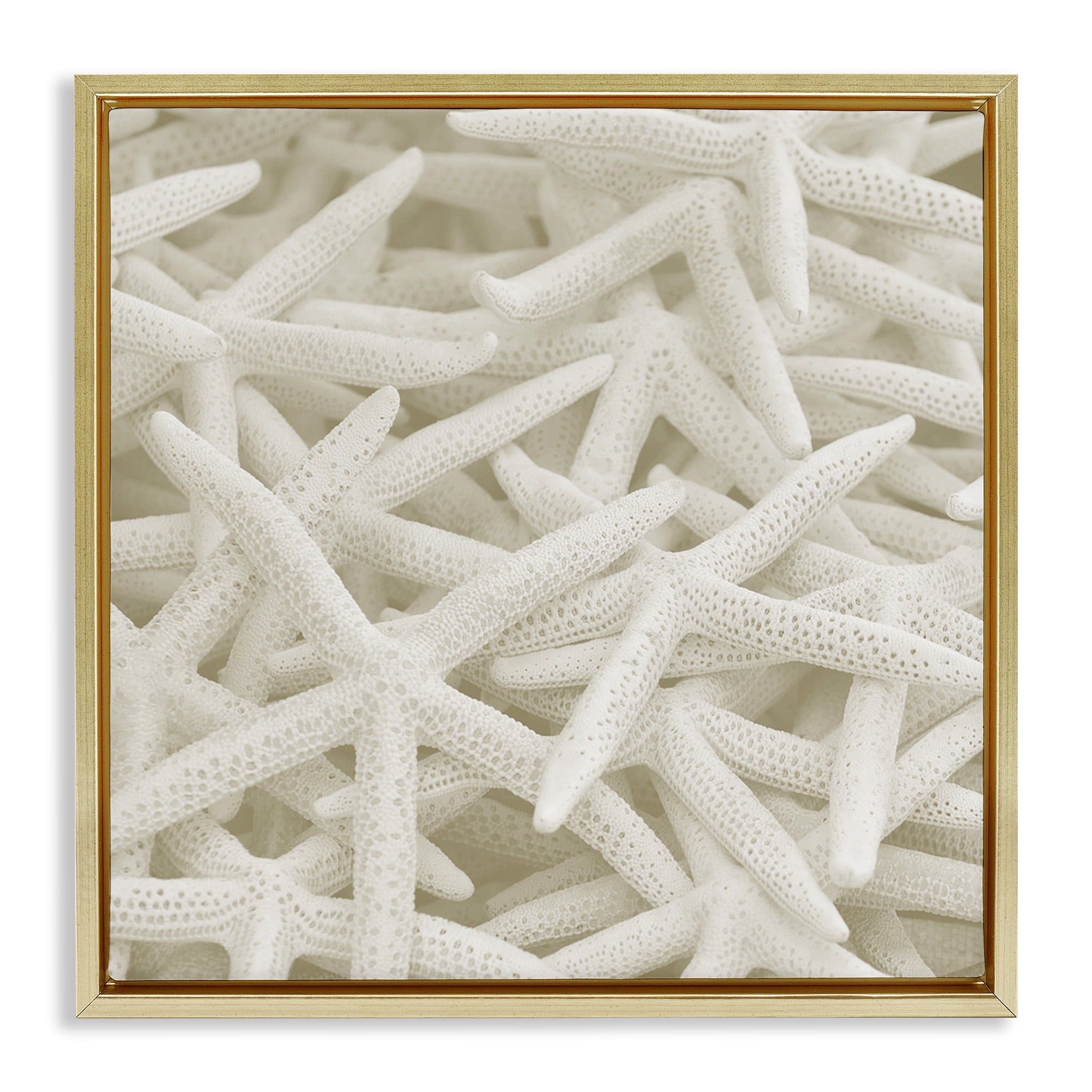 Stupell Industries Nautical White Starfish Photography Nature Photography Gold Floater Framed Canvas Art Print Wall Art, 18 x 18