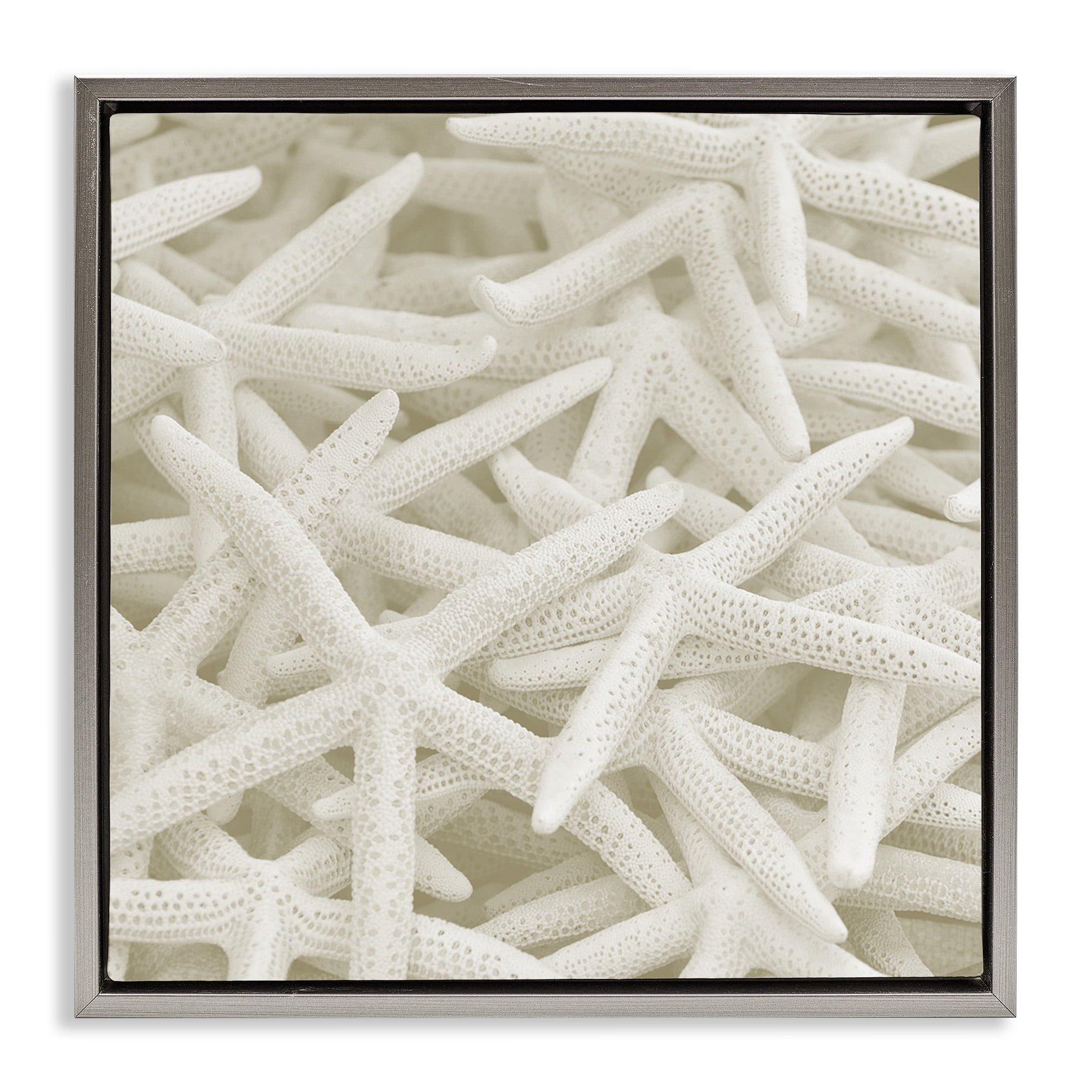 Stupell Industries Nautical White Starfish Photography Nature Photography Gray Floater Framed Canvas Art Print Wall Art, 25 x 25