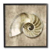 Stupell Industries Nautilus Shell Interior Intricate Animal Muted Neutral Nature Painting Black Framed Art Print Wall Art, 12 x 12