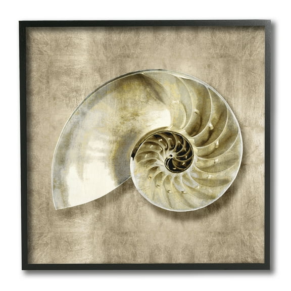 Stupell Industries Nautilus Shell Interior Intricate Animal Muted Neutral Nature Painting Black Framed Art Print Wall Art, 12 x 12
