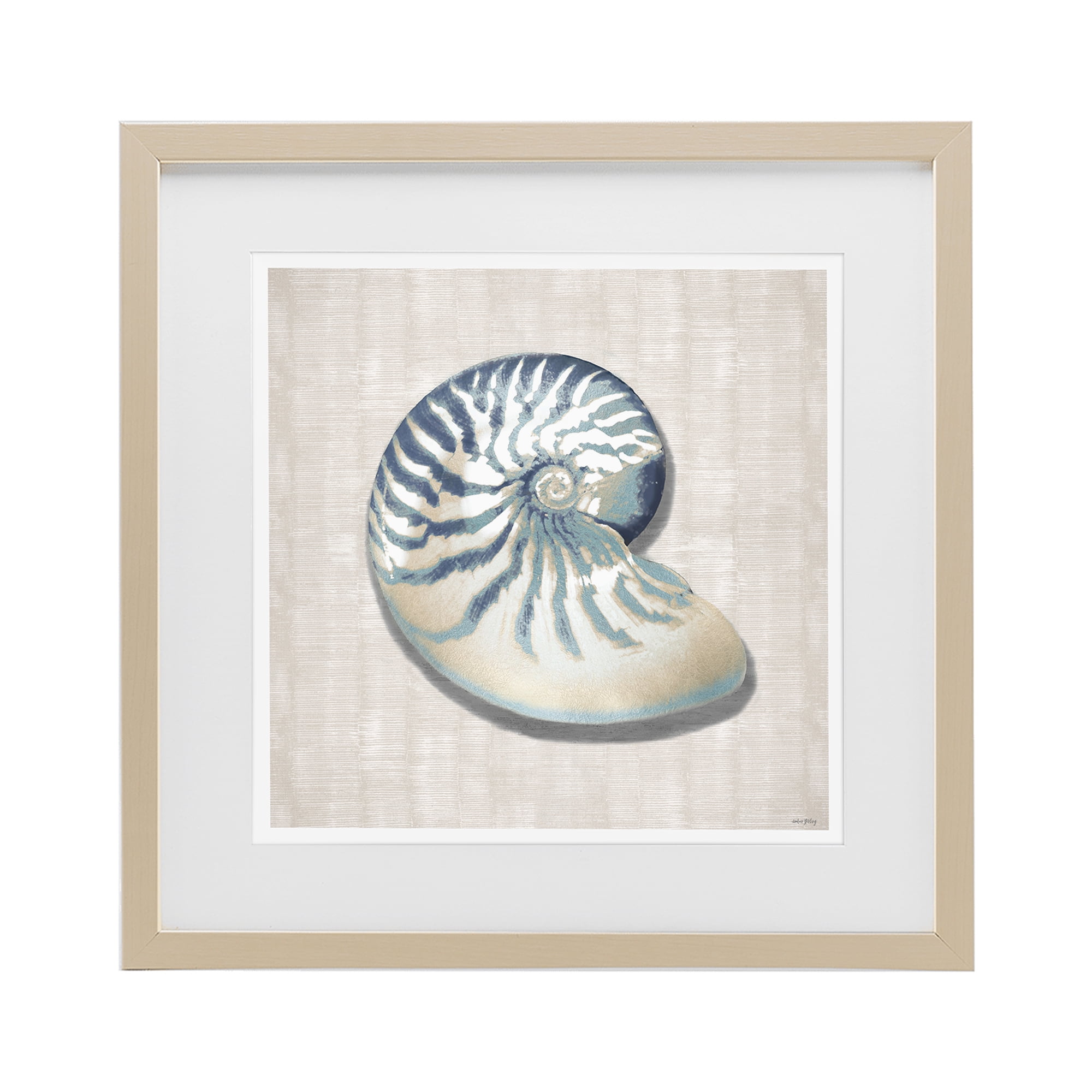 Stupell Industries Nautilus Shell in Misty Blue Birch Framed Print Under Glass, design by Amber Sterling