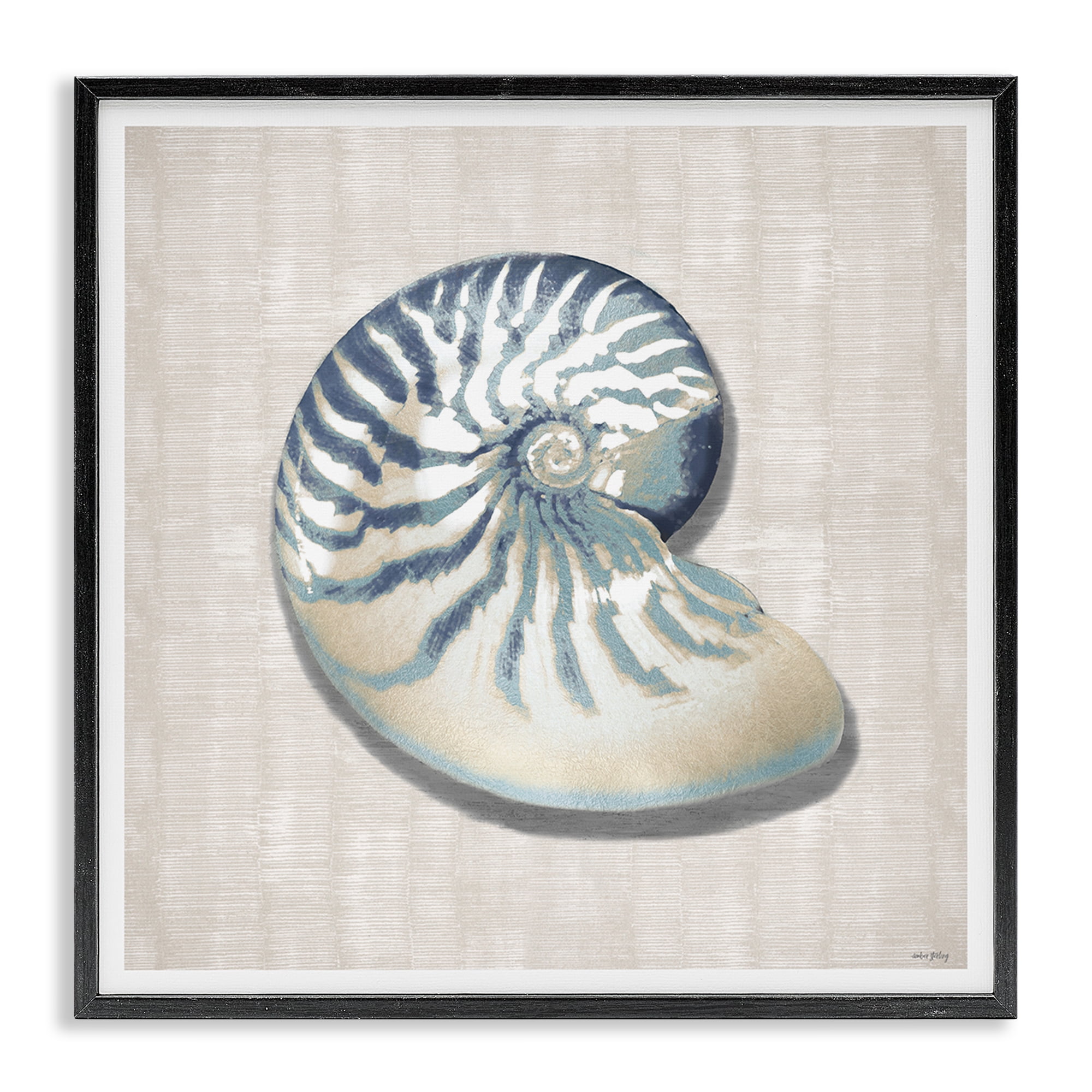 Stupell Industries Nautilus Shell in Misty Blue Black Framed Giclee Art, design by Amber Sterling