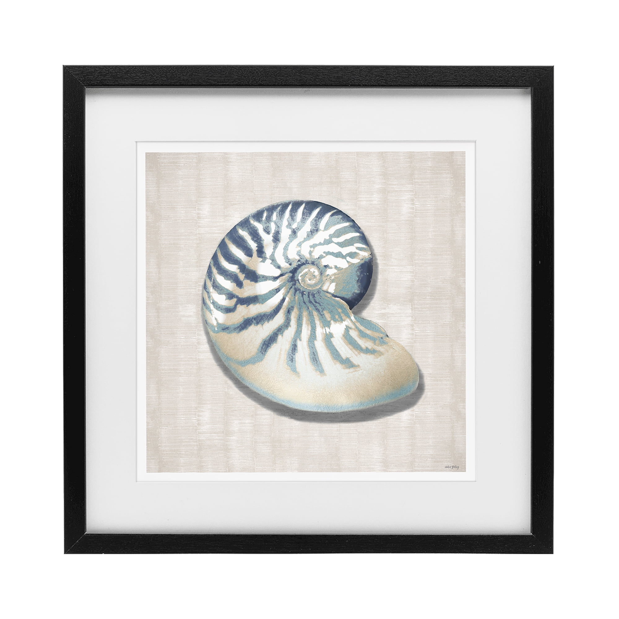 Stupell Industries Nautilus Shell in Misty Blue Black Framed Print Under Glass, design by Amber Sterling