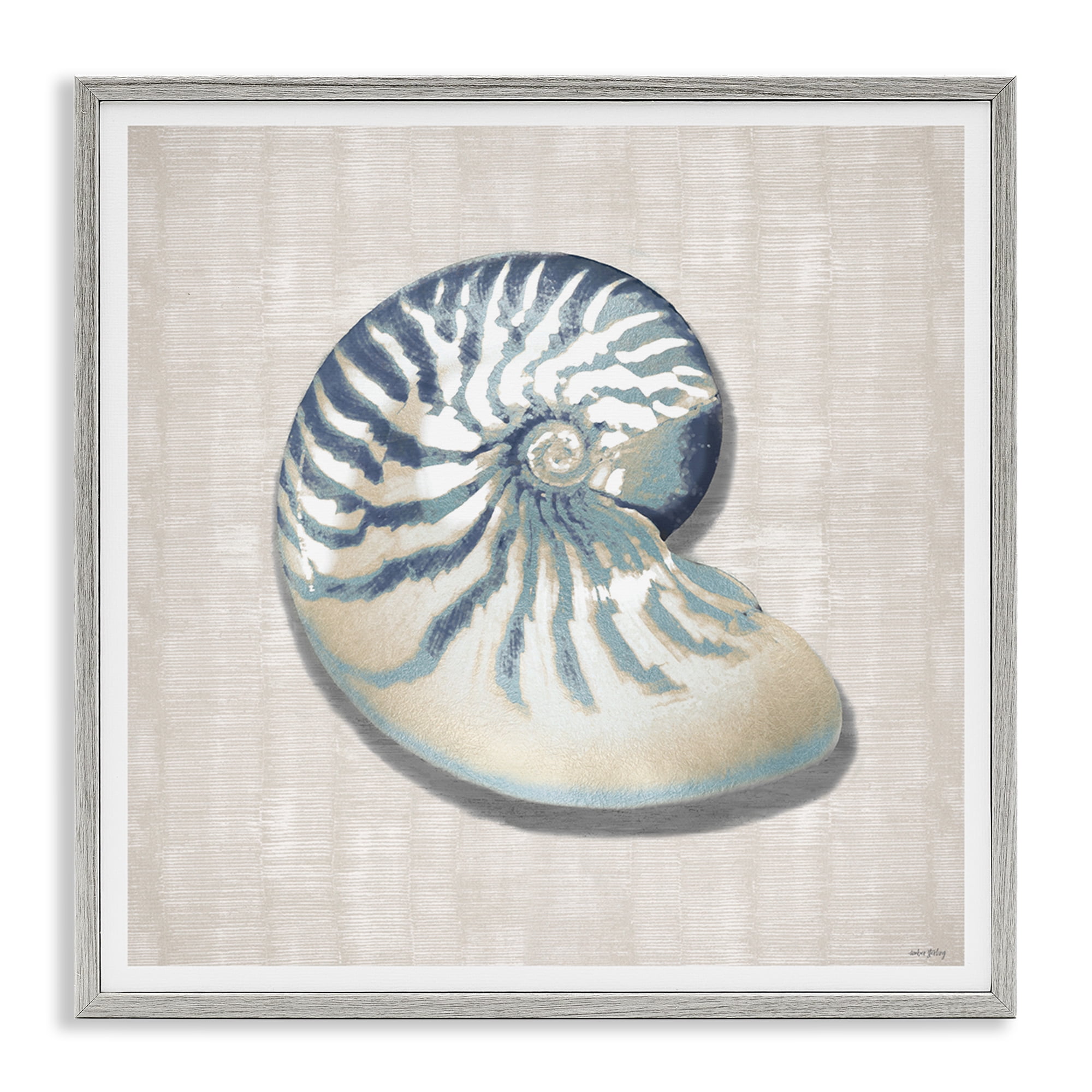 Stupell Industries Nautilus Shell in Misty Blue Gray Framed Giclee Art, design by Amber Sterling