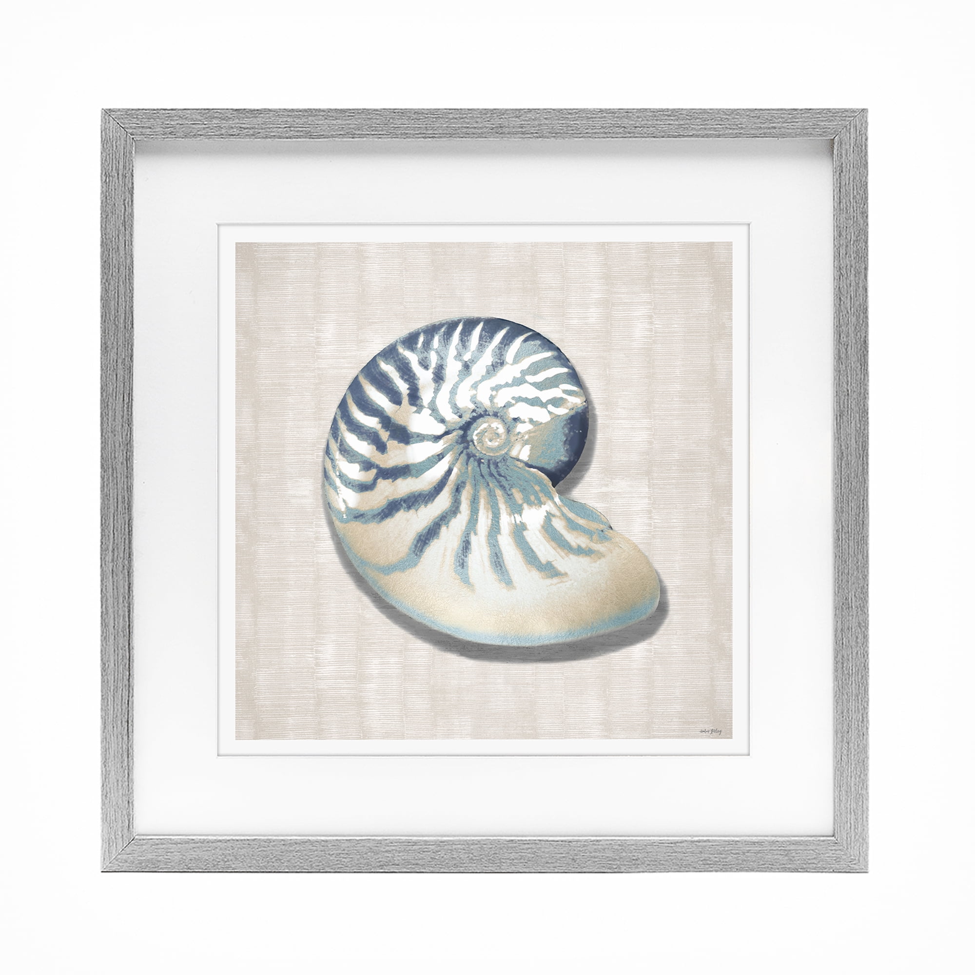 Natulilus Shell Stupell Industries Transitional Nautilus Shell in Misty Blue Gray ...