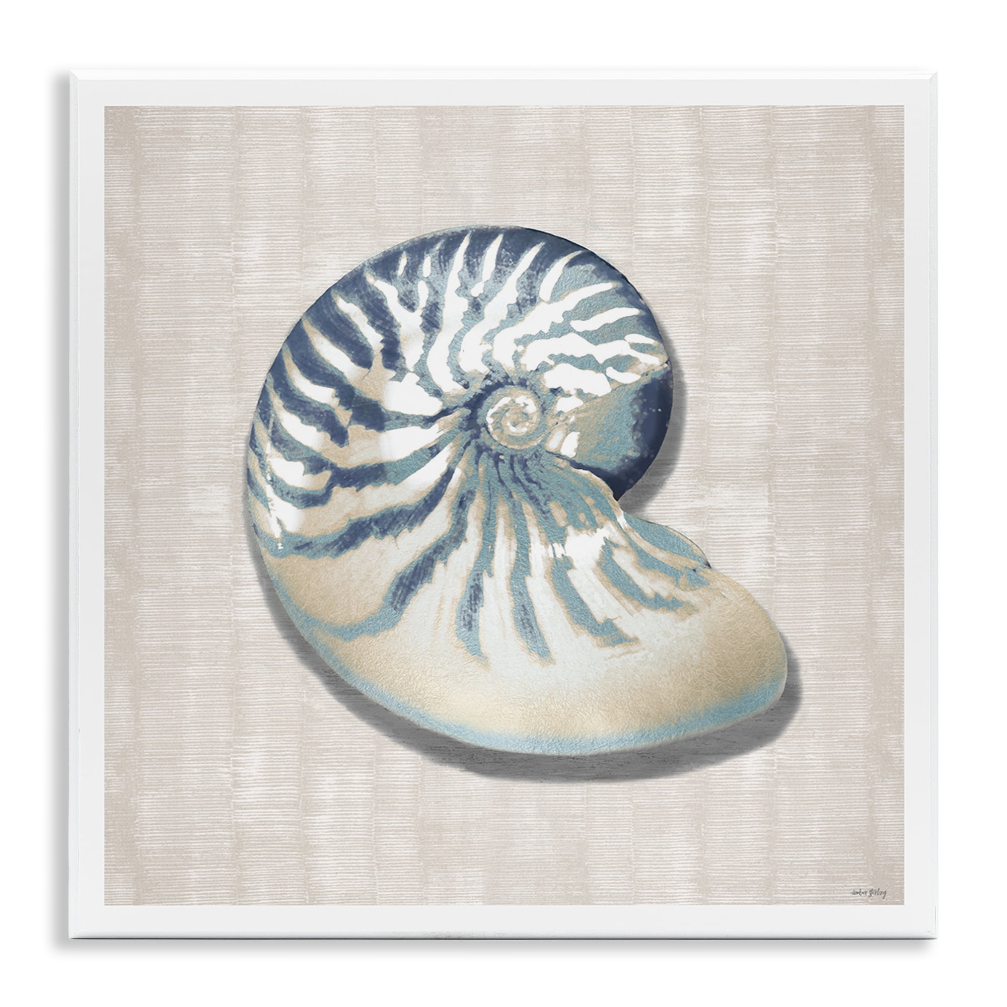 Stupell Industries Nautilus Shell in Misty Blue Wall Plaque Art, design by Amber Sterling