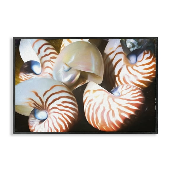 Stupell Industries Nautilus Shells Cluster Nautical & Beach Painting Black Framed Art Print Wall Art, 18 x 12