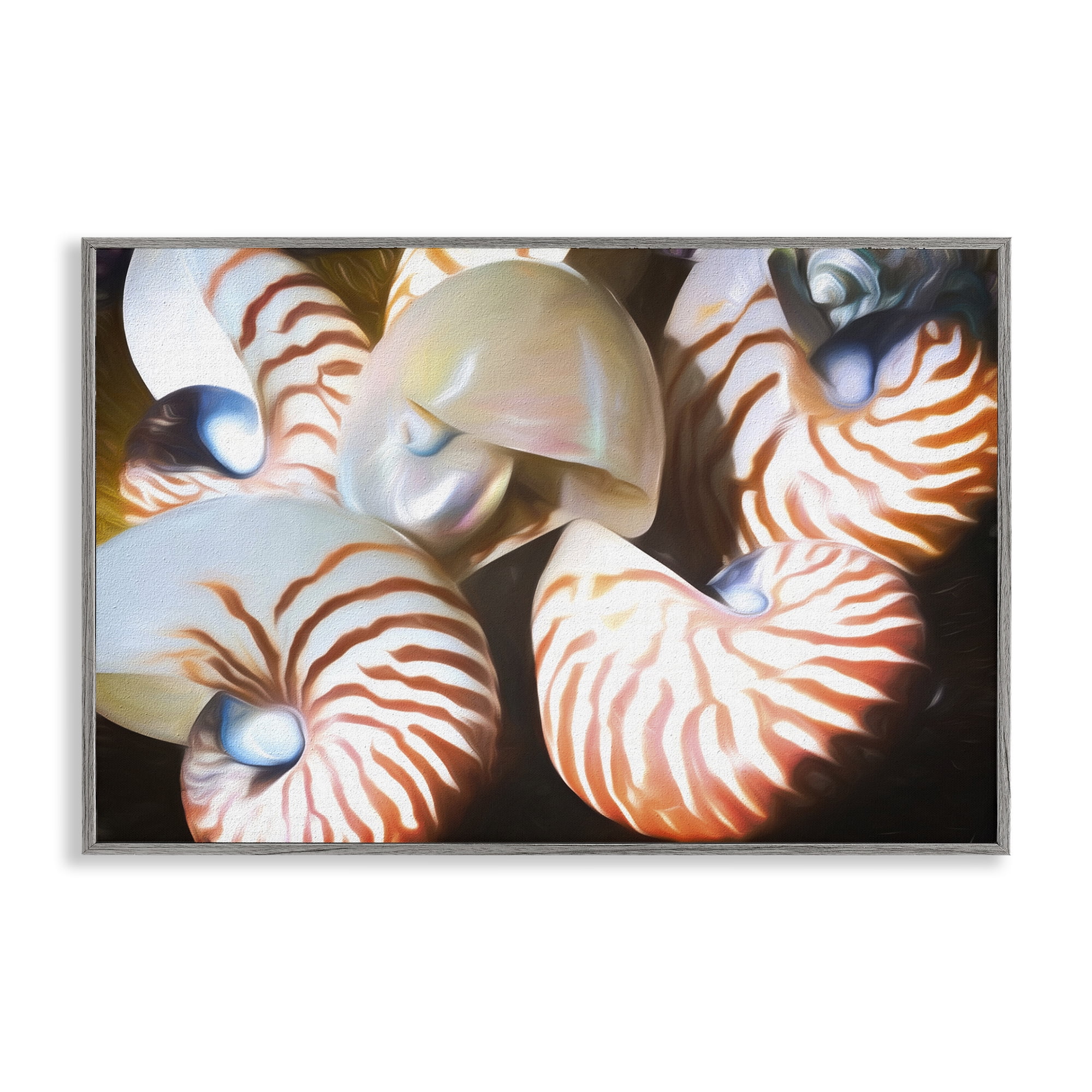 Stupell Industries Nautilus Shells Cluster Nautical & Beach Painting Gray Framed Art Print Wall Art, 24 x 16