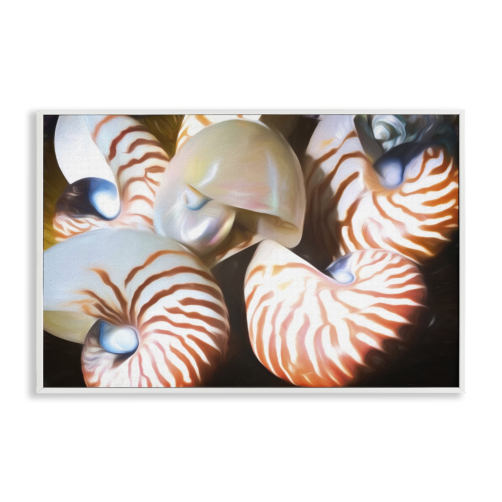 Stupell Industries Nautilus Shells Cluster Nautical & Beach Painting White Framed Art Print Wall Art, 24 x 16