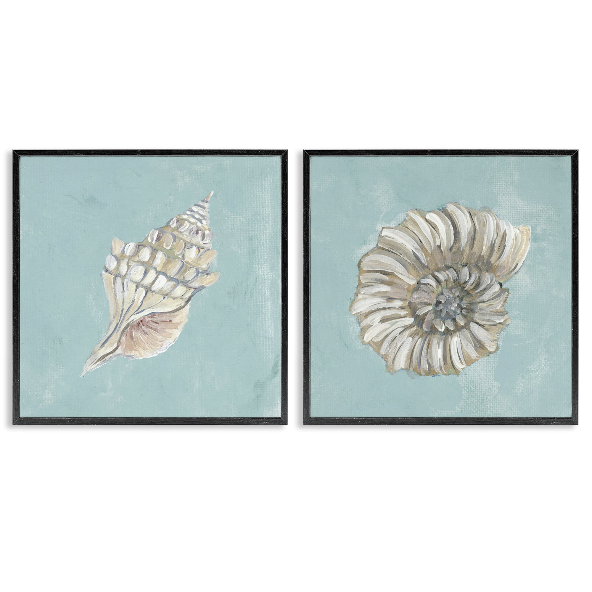 Stupell Industries Nautilus and Conch Seashells Nautical & Beach Painting Black Framed Art Print Wall Art, 24 x 24, Set of 2