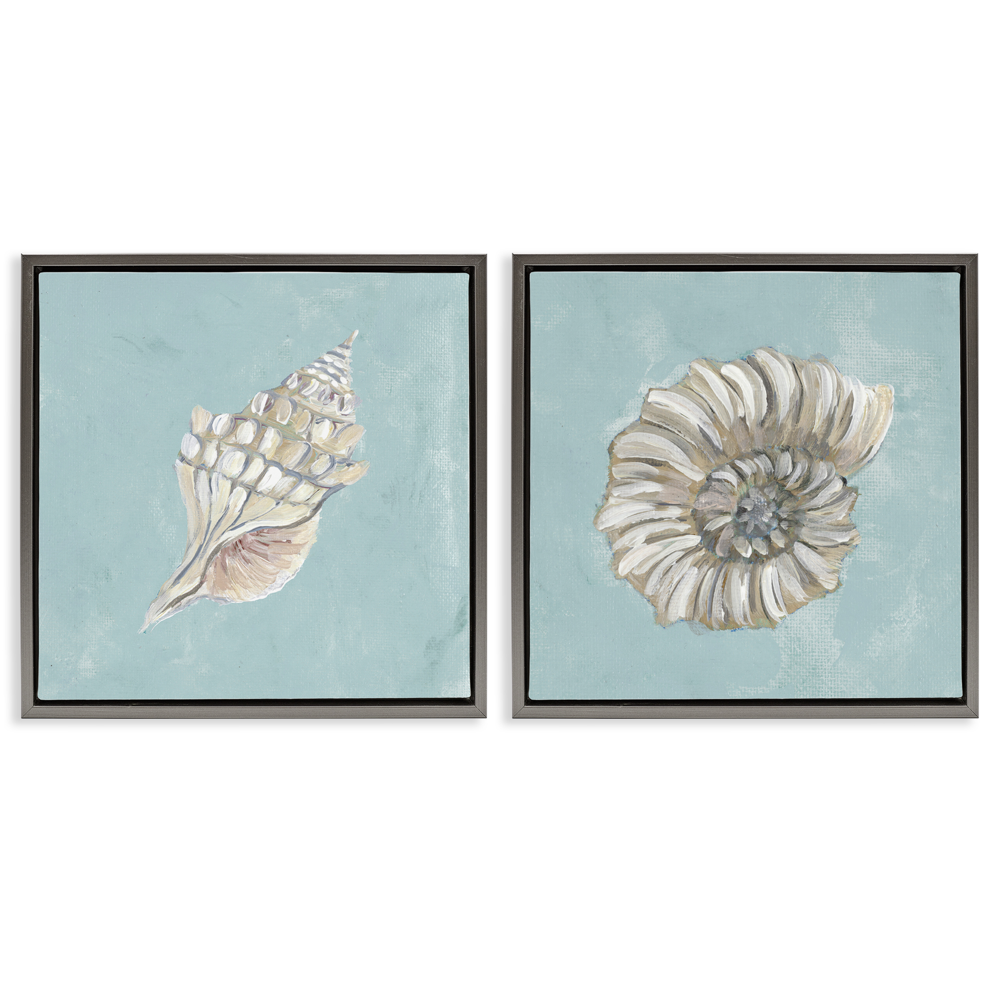 Stupell Industries Nautilus and Conch Seashells Nautical & Beach Painting Gray Floater Framed Canvas Art Print Wall Art, 18 x 18, Set of 2