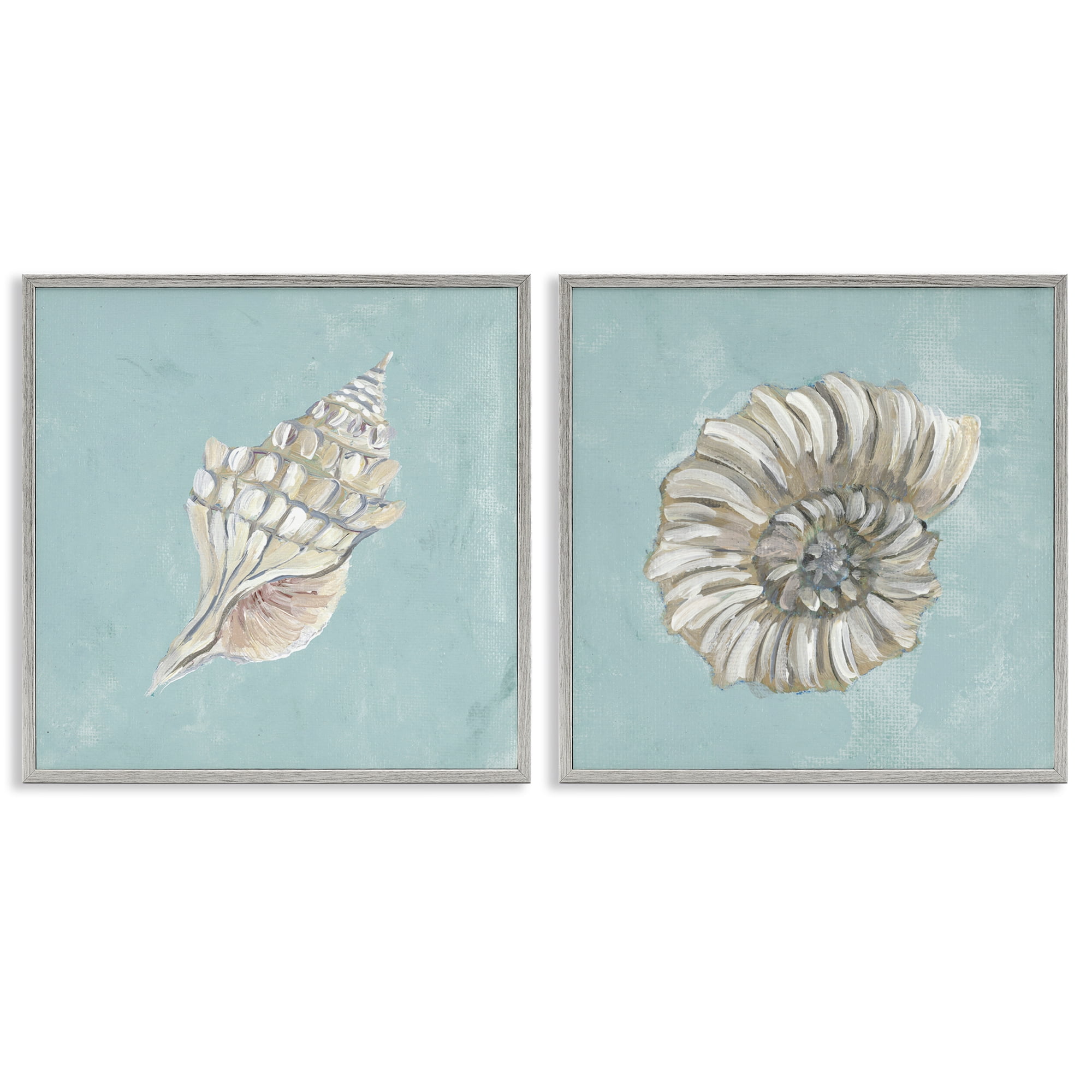Stupell Industries Nautilus and Conch Seashells Nautical & Beach Painting Gray Framed Art Print Wall Art, 24 x 24, Set of 2