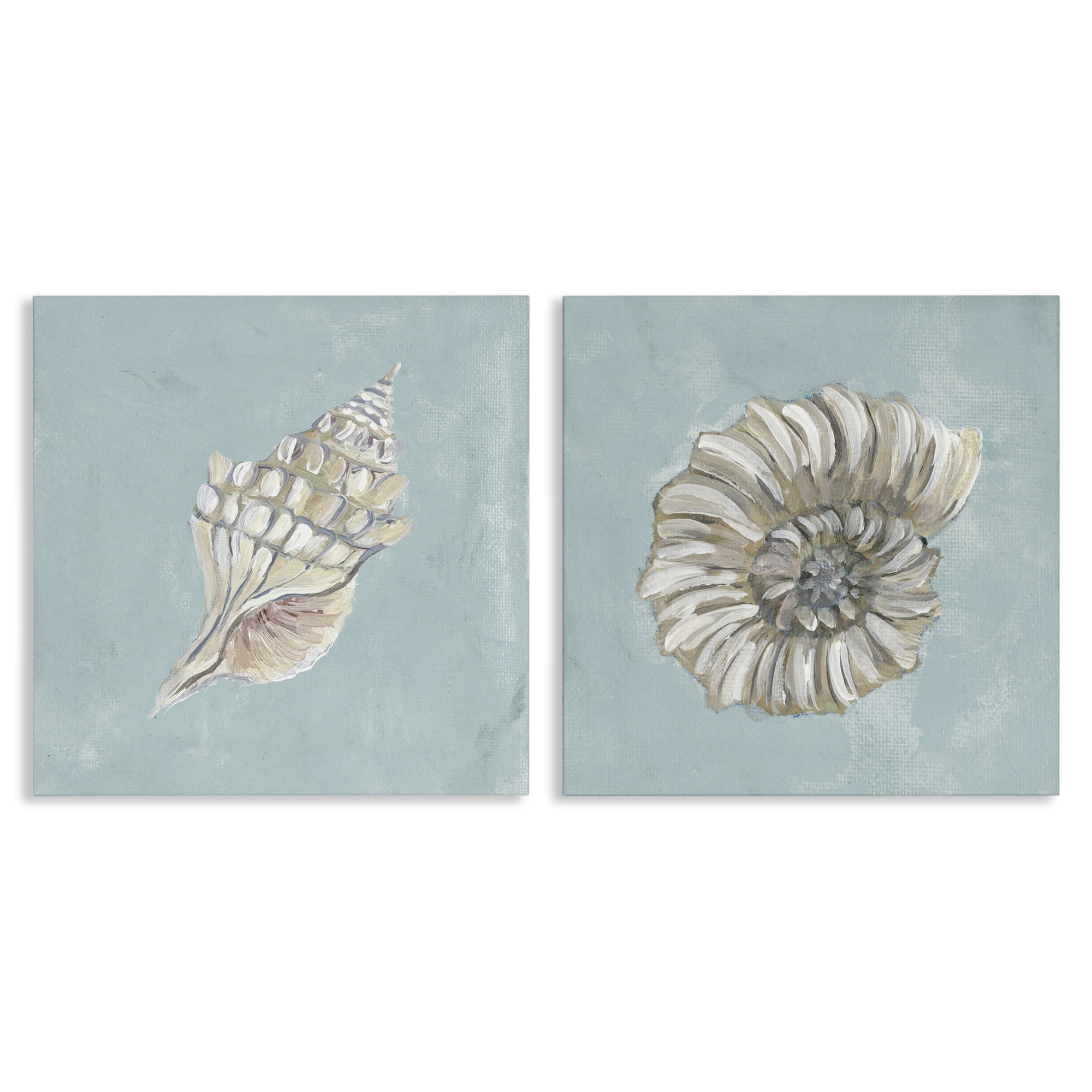 Stupell Industries Nautilus and Conch Seashells Nautical & Beach Painting Wrapped Canvas Art Print Wall Art, 24 x 24, Set of 2