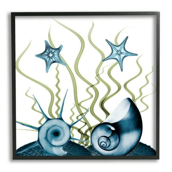 Stupell Industries Navy Blue Sea Floor Arrangement Translucent Shell Collage Nature Painting Black Framed Art Print Wall Art, 12 x 12