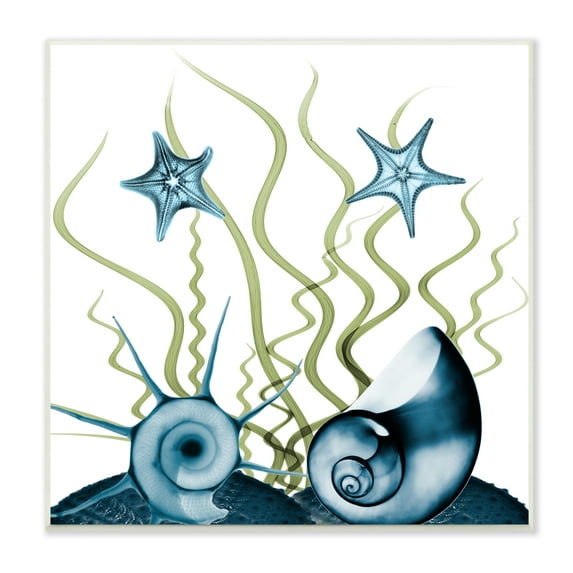 Stupell Industries Navy Blue Sea Floor Arrangement Translucent Shell Collage Nature Painting Unframed Art Print Wall Art, 12 x 12