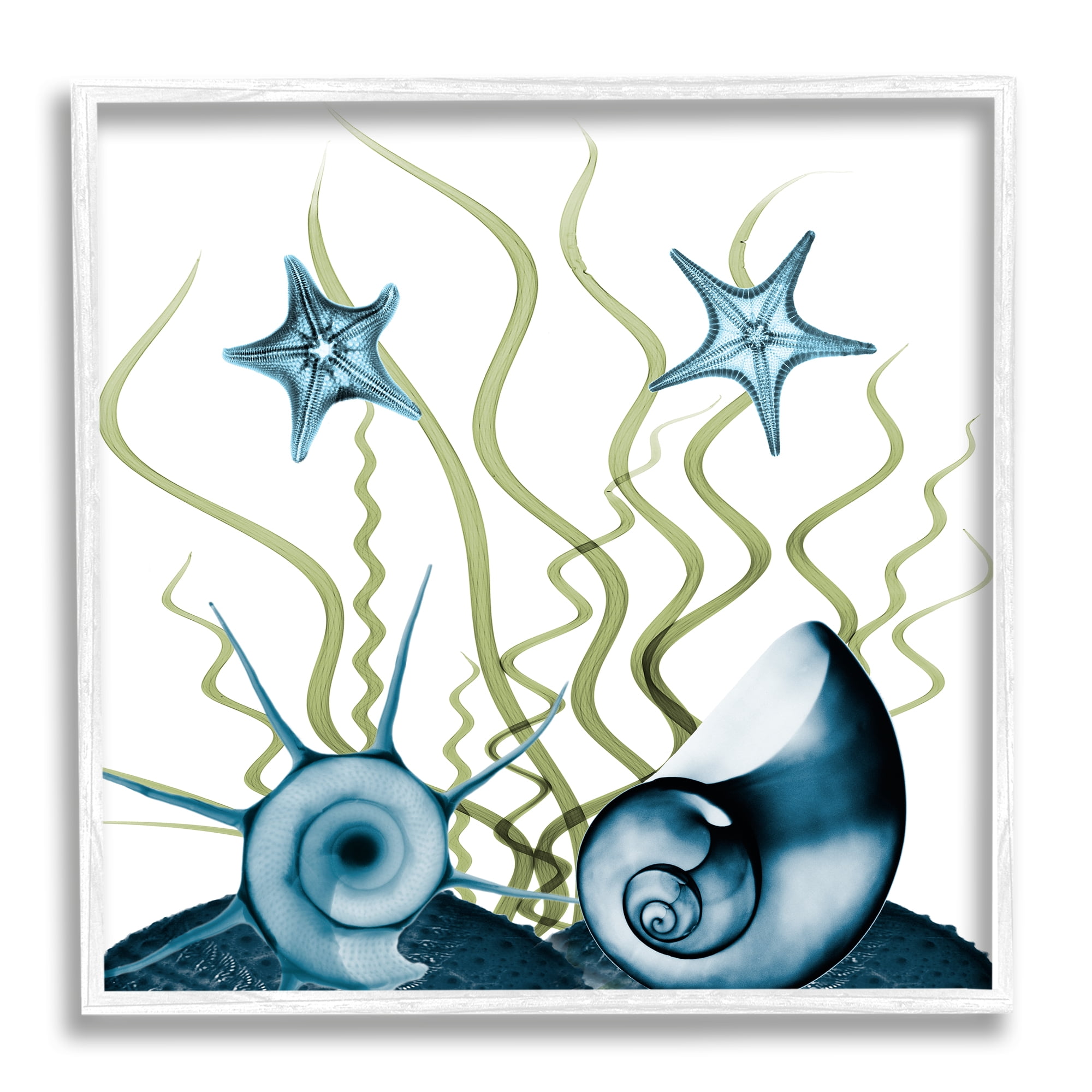 Stupell Industries Navy Blue Sea Floor Arrangement Translucent Shell Collage Nature Painting White Framed Art Print Wall Art, 24 x 24