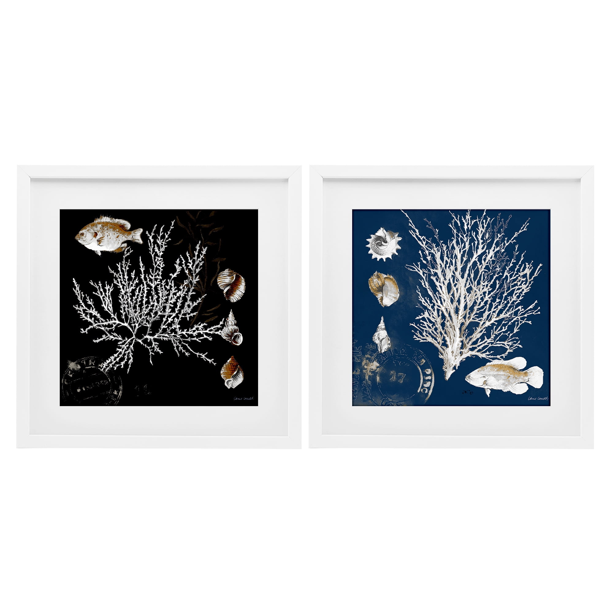 Stupell Industries Navy Coral Medley 2 Piece White Framed Print Under Glass Set, design by Lanie Loreth