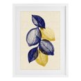 thumbnail image 1 of Stupell Industries Shabby Chic Navy Lemons Botanical Sketch White Framed Print Under Glass, 17 x 23, by Petals Prints Design, 1 of 8